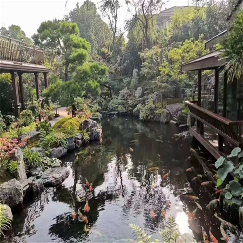 沧县庭院小型鱼池假山图片